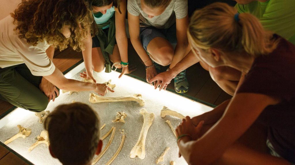 Vakantie Zuid Tirol Wild Zoo