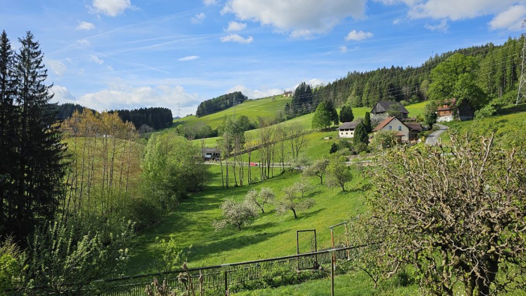 Prachtig uitzicht Oostenrijk Murtal
