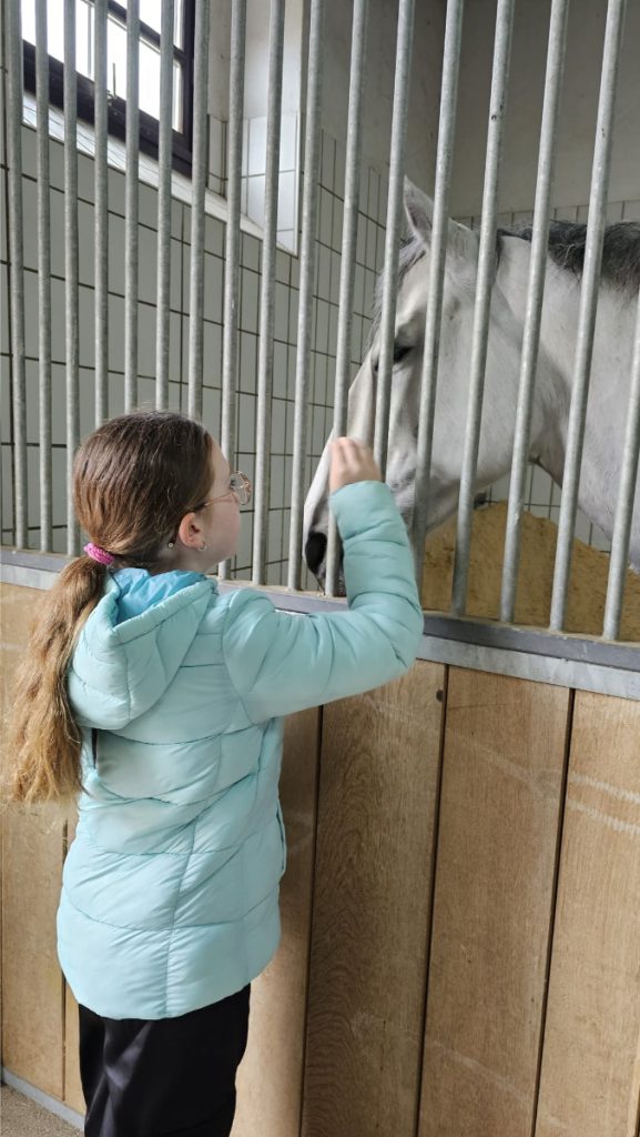 meisje aait Lipizzaner paard