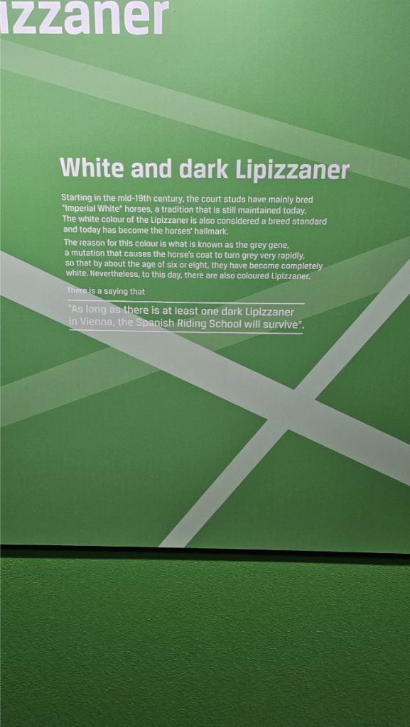museum Lipizzaner paarden Piber Stud Farm Oostenrijk