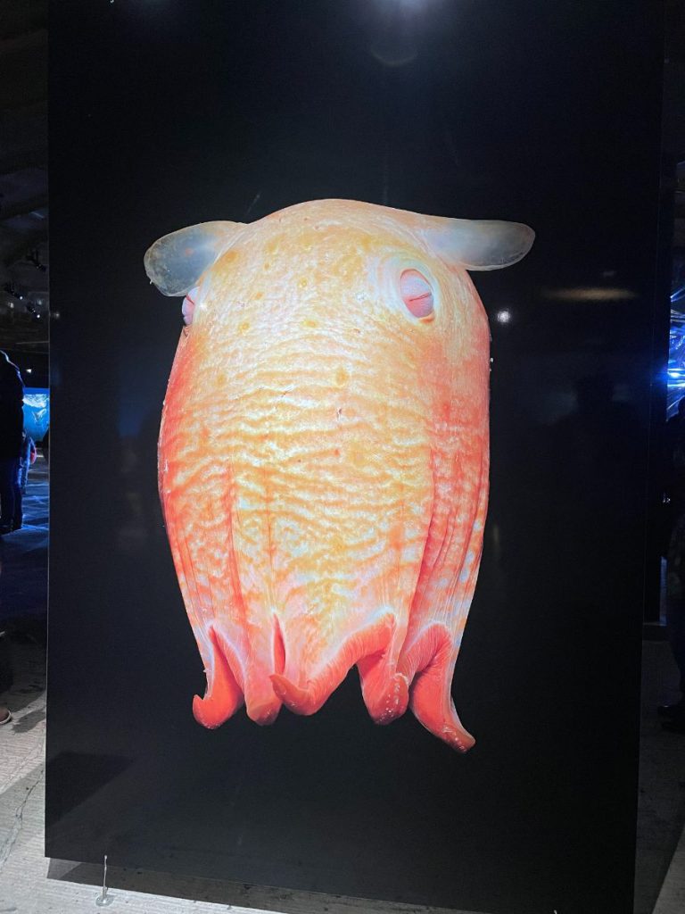 Oberhausen met tieners kwal tentoonstelling