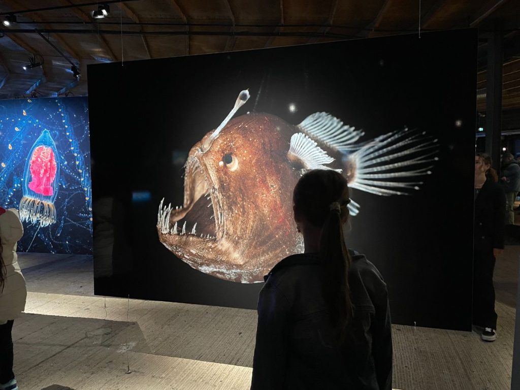 Planet Ozean tentoonstelling Gasomter