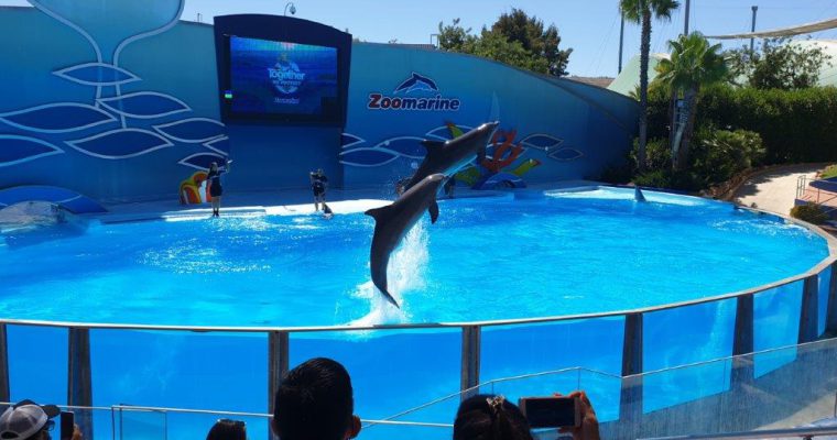 ZooMarine Algarve – een dolfinarium, pretpark en waterpark