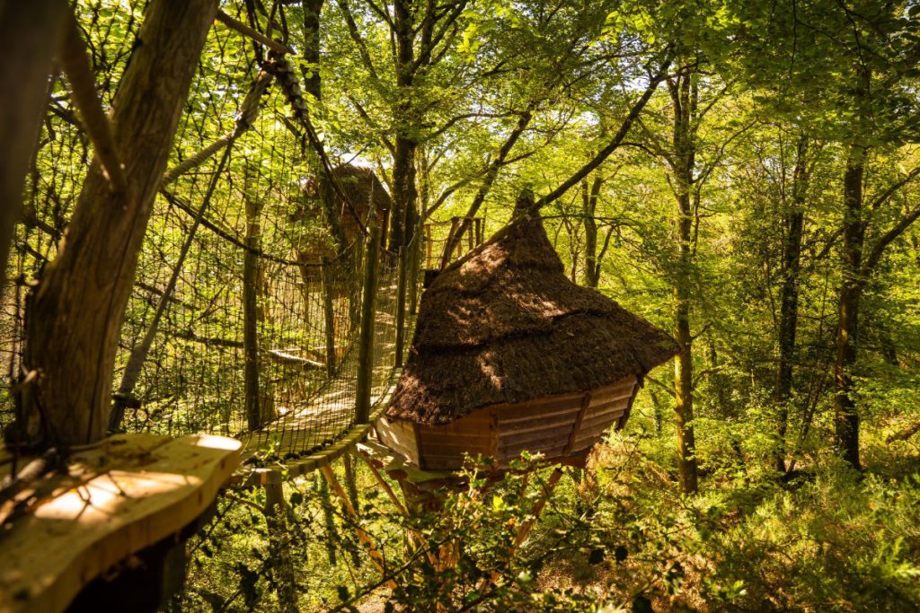 overnachten in een boomhut