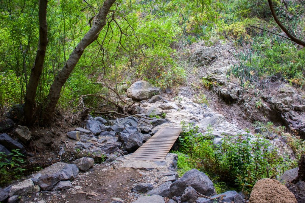 Barranco del Infierno Tenerife