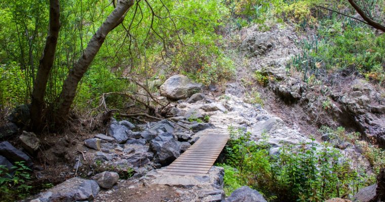 Tenerife is dé plek voor sportfanaten – een sportieve vakantie