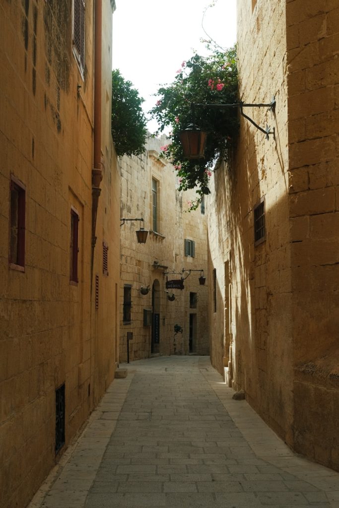 a narrow alley way with a potted plant on the wall mdina