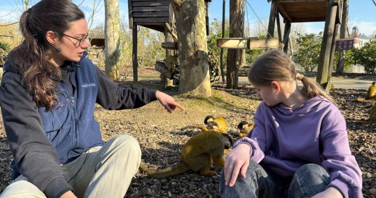 Animal Adventures Pairi Daiza – een ontmoeting met de dieren