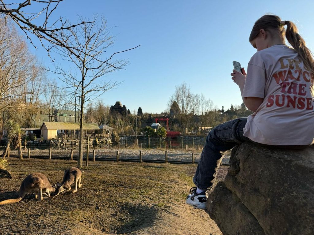 ervaringen pairi daiza