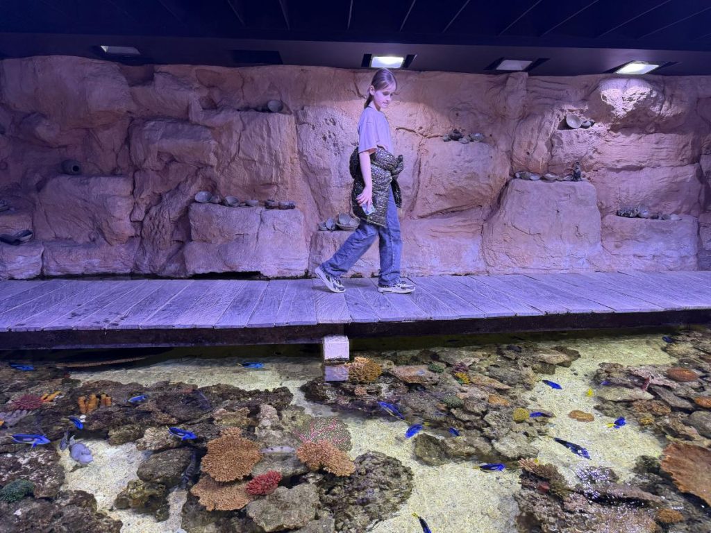 aquarium