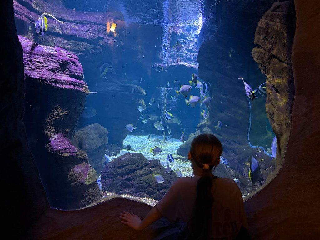 aquarium