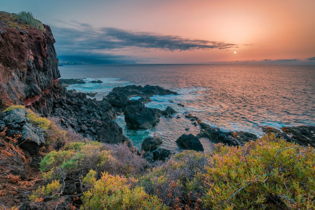 rock formation and shrubs beside sea at daytime winterzon in Europa