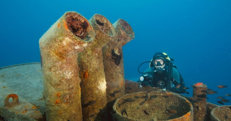 Duiken op Malta: een verborgen paradijs onder water