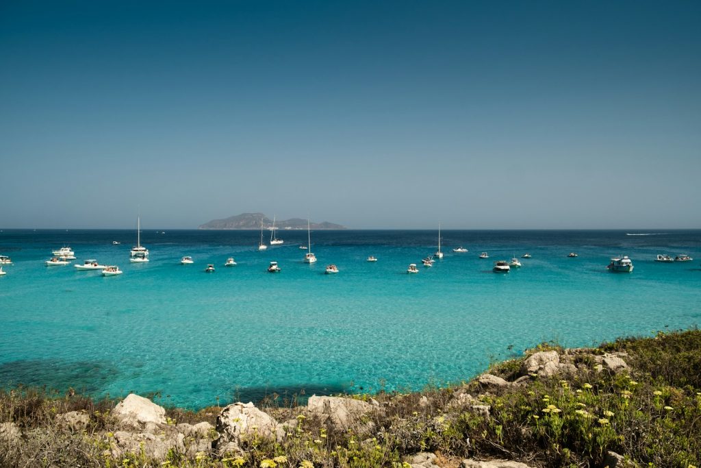 A bunch of boats that are in the water