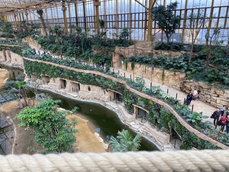 foto van bovenaf de loopbrug naar het voetpad in Edenya
