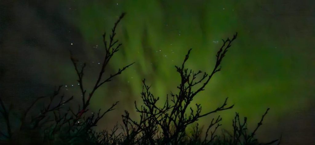 noorderlicht safari IJsland