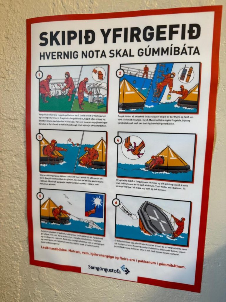instructies walvissafari ijsland