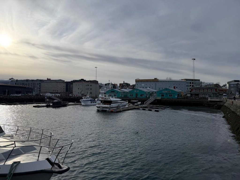 haven reykjavik