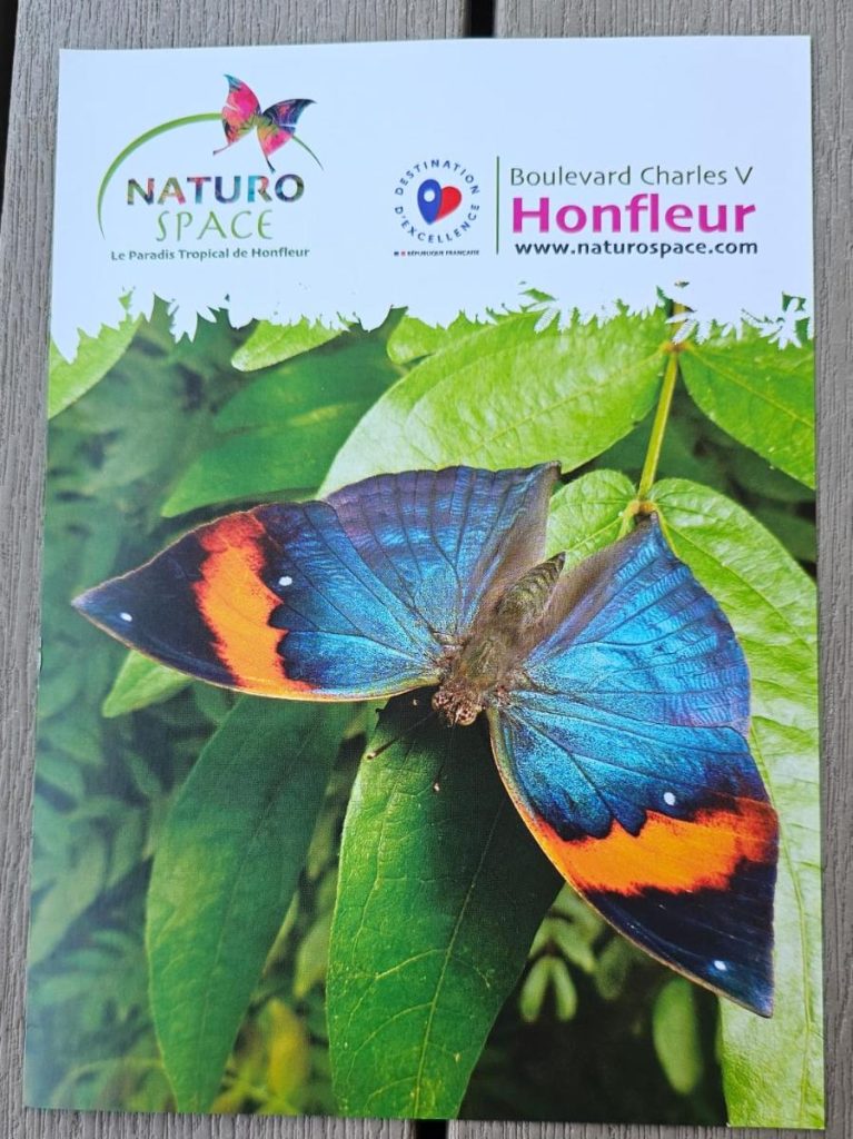 Naturospace Honfleur: tropische vlindertuin met kinderen