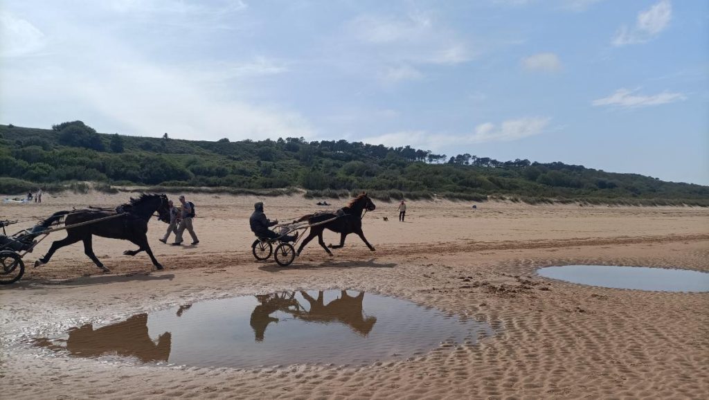 Omaha Beach Normandië met tieners